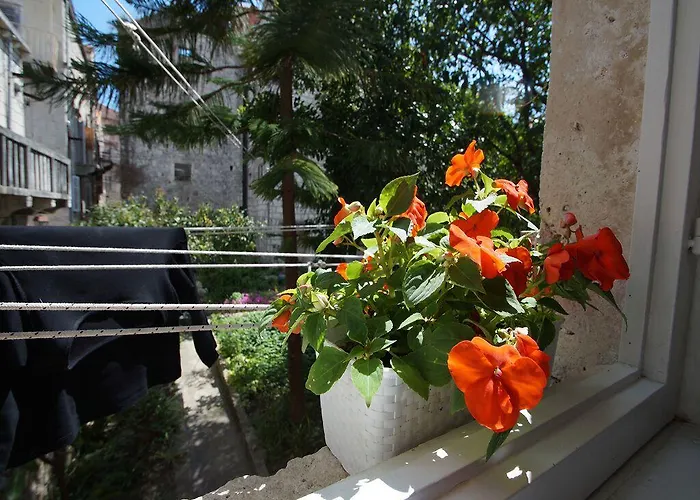 Apartment Sunny Town