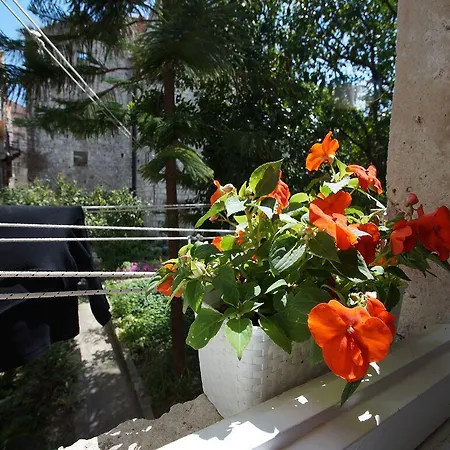 Apartment Sunny Town